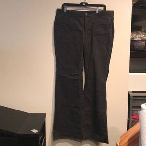 Ann Taylor Loft modern flare grey cords
